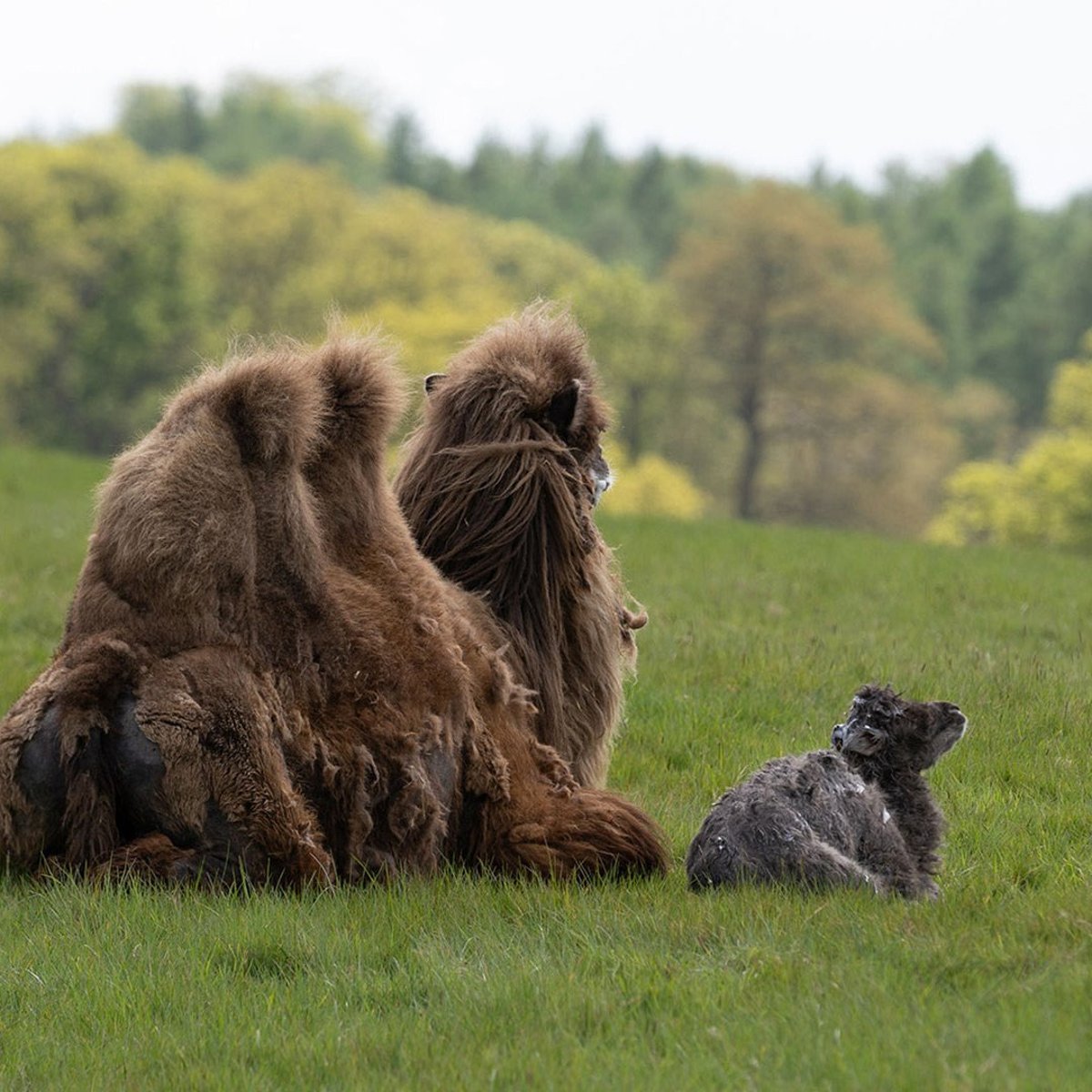 Image of rita and baby looking off into the distance wbe 1080x1080