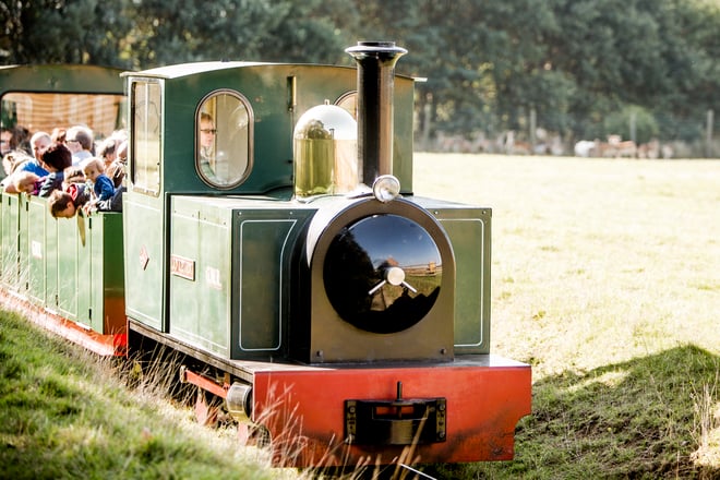 Mini steam train travels through safari park with guests on board