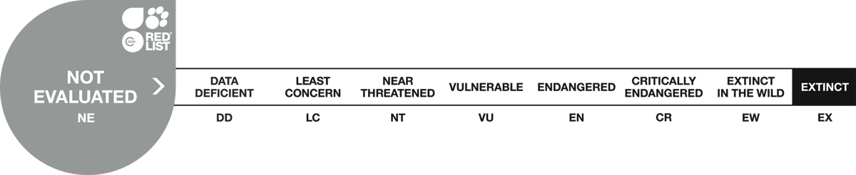 Image of red list scale 1 not evaluated