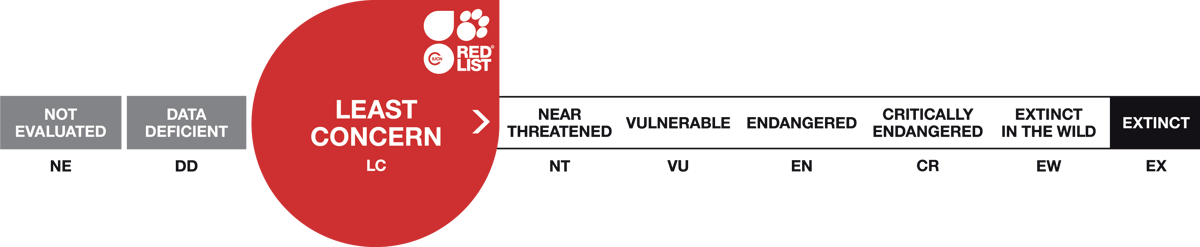 Image of red list scale 3 least concern