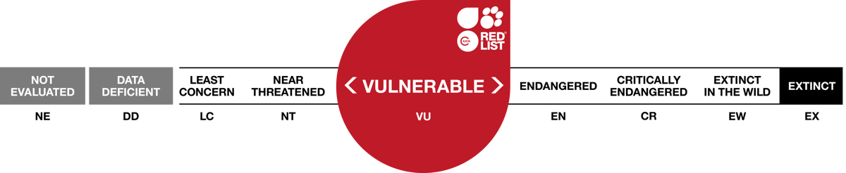 Image of red list scale 5 vulnerable