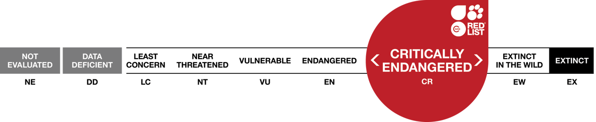 Red List Critially Endangered