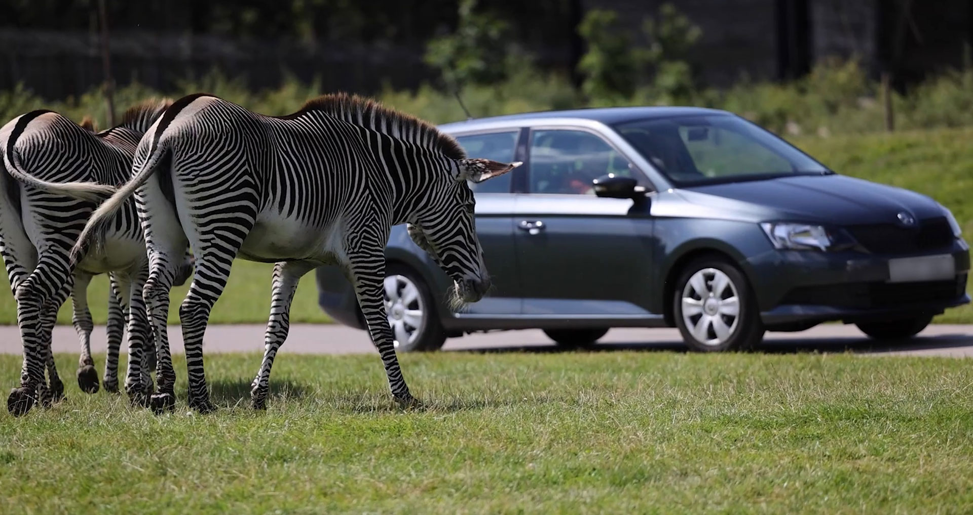 Pay per car ticket deal Woburn - Zebraandcars 1920x1018pix Web Desktop