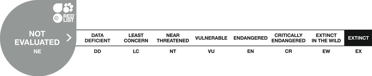 Image of red list scale 1 not evaluated