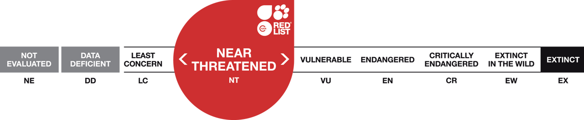 Red List Scale Near Threatened